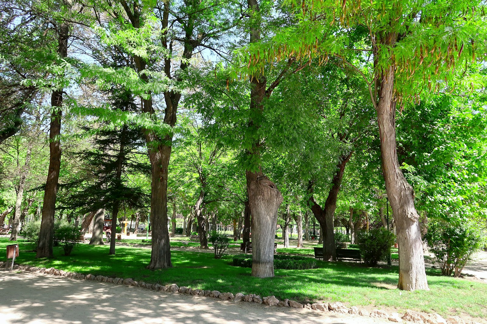 Udržovaný park s vysokými stromy